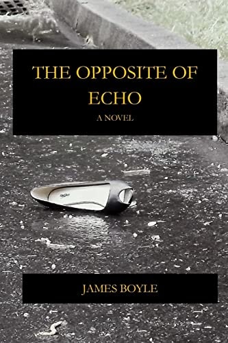 The Opposite of Echo A Novel