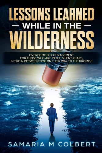 Lessons Learned in the Wilderness Overcoming Discouragement: For Those Who Are in the Silent Years, in the in Between Time on Their Way to the Promise