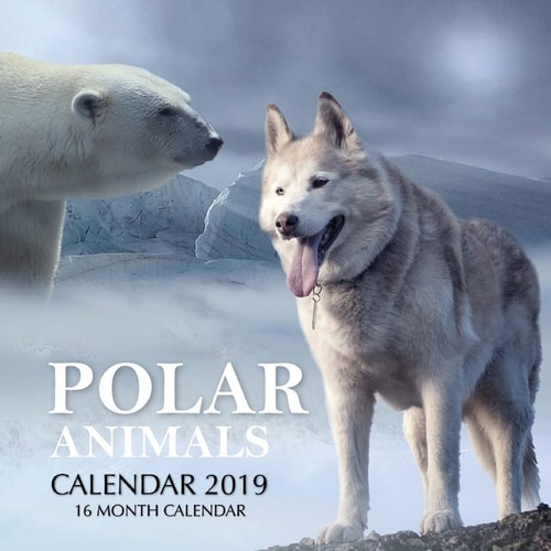 Polar Animals Calendar 2019 16 Month Calendar