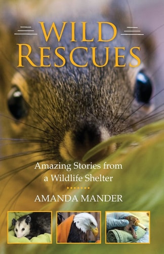Wild Rescues Amazing Stories from a Wildlife Shelter