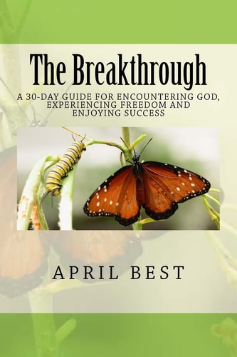 The Breakthrough A 30-Day Guide for Encountering God, Experiencing Freedom and Enjoying Success