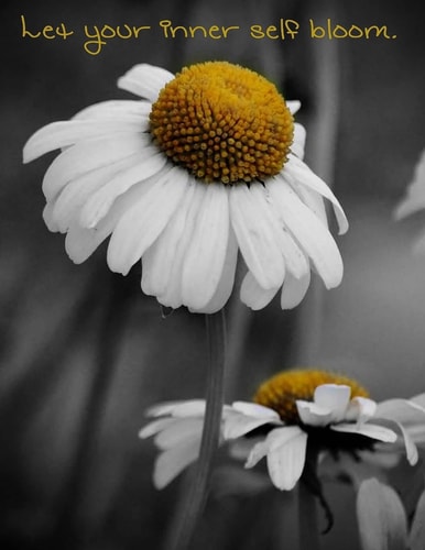 Let Your Inner Self Bloom - a Notebook