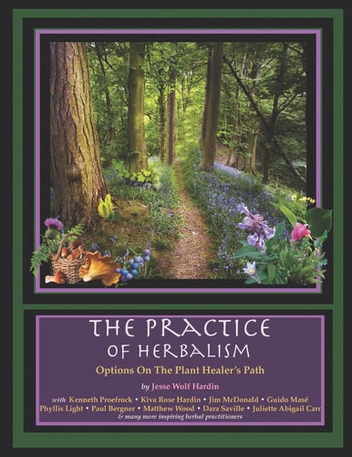 The Practice of Herbalism Options on the Plant Healer's Path