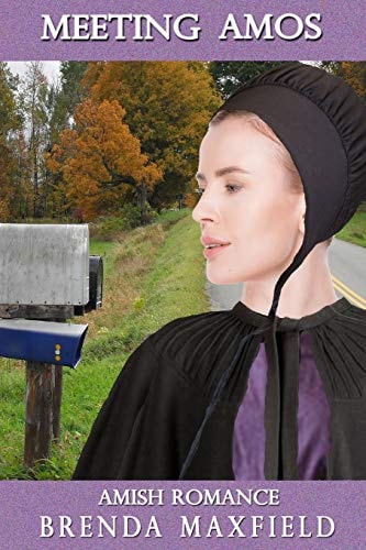Amish Romance Meeting Amos