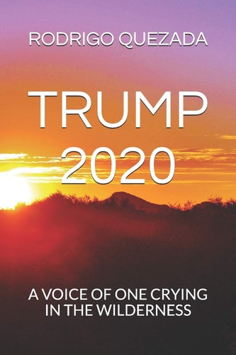 Trump 2020 A Voice of One Crying in the Wilderness