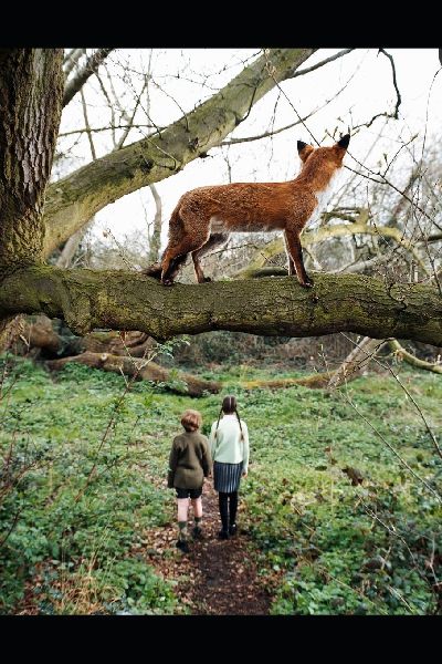 The Lightning Tree: Children's fantasy adventure for kids age approx 8 to 12...thriller...family values, themes of love and forgiveness and inner healing...mystery, suspense and adventure