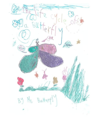 The Life Cycle of a Butterfly