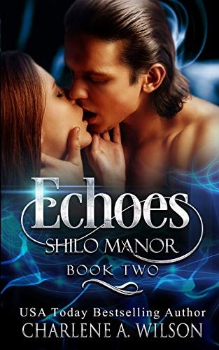 Echoes Multi-Dimensional Soul Mates