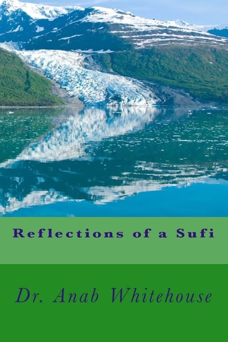 Reflections of a Sufi