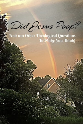 Did Jesus Poop? And 100 Other Theological Questions To Make You Think!