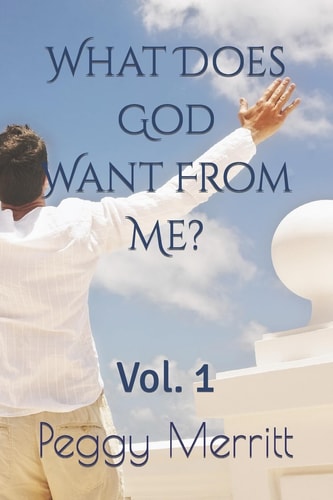 What Does God Want From Me? Vol. 1