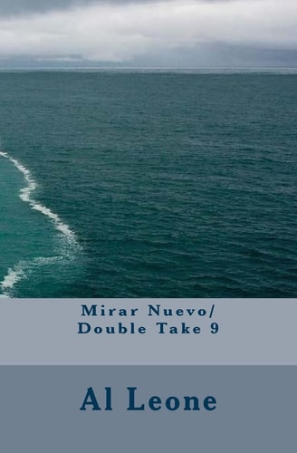 Mirar Nuevo/ Double Take 9