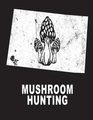 Mushroom Hunting Colorado Mushroom Hunting Morel Mushroom Hunting