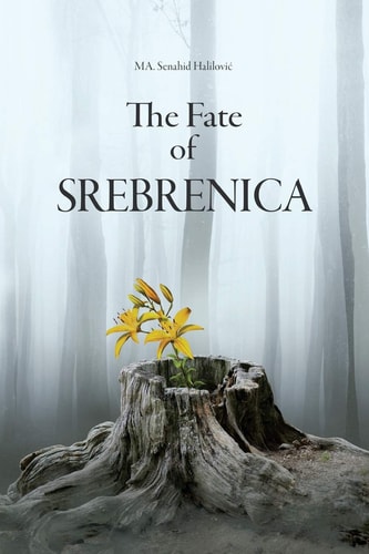 The Fate of Srebrenica
