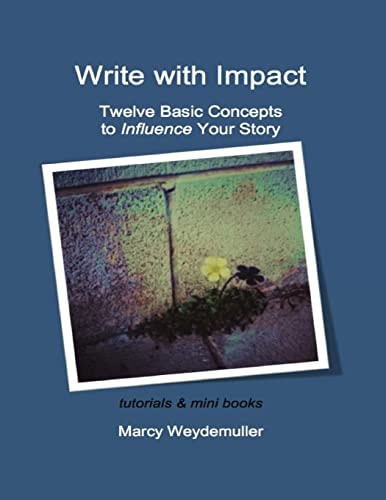 Twelve Basic Concepts to Influence Your Story