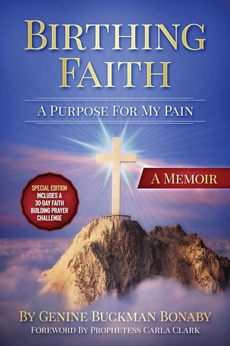 Birthing Faith A Purpose For My Pain: Special Edition Includes A 30-Day Faith Building Prayer Challenge