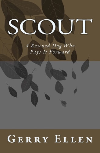Scout A Rescued Dog Who Pays It Forward