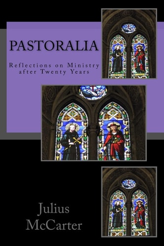Pastoralia Reflections on Ministry After Twenty Years
