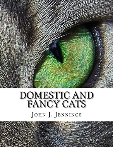 Domestic and Fancy Cats A Practical Treatise on Their Varieties, Breeding, Management and Diseases