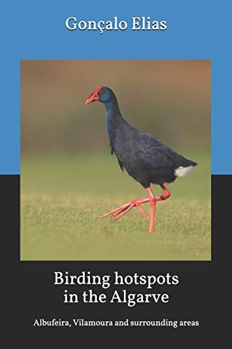 Birding Hotspots in the Algarve Albufeira, Vilamoura and Surrounding Areas