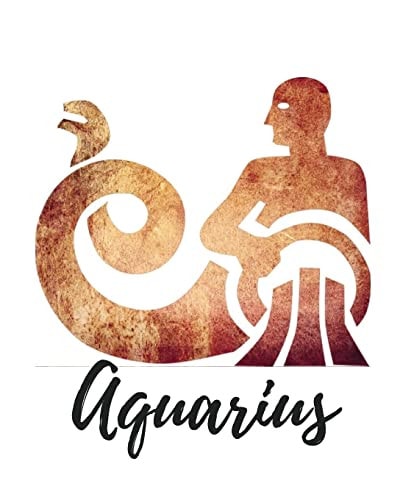 Aquarius Cornell Notes, 150 Pages, Design Brown