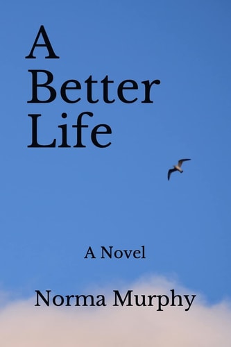 A Better Life A Novel