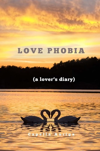 Love Phobia A Lovers Diary