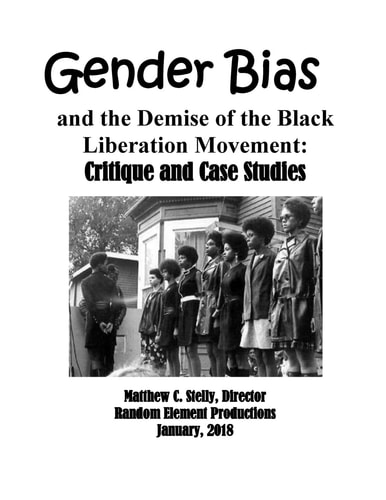 Gender Bias and the Demise of the Black Liberation Movement Critique and Case Studies