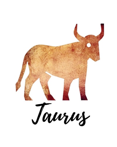 Taurus Taurus Cornell Notes