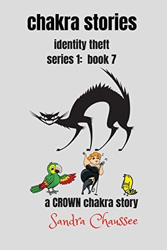 Chakra Stories Identity Theft - Series 1: Book 7