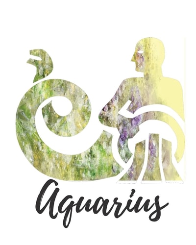 Aquarius Aquarius Cornell Notes