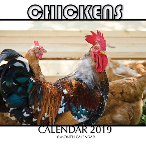 Chickens Calendar 2019 16 Month Calendar