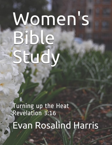 Women's Bible Study Turning Up the Heat-Revelation 3:16