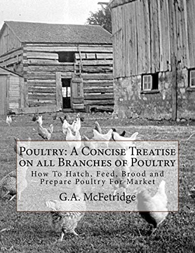Poultry A Concise Treatise on All Branches of Poultry: How To Hatch, Feed, Brood and Prepare Poultry For Market