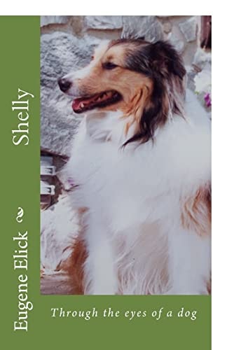 Shelly Through the Eyes of a Dog
