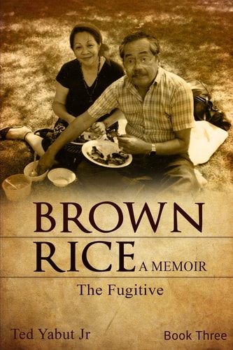Brown Rice, a Memoir Book Three: The Fugitive