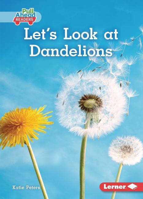 Lets Look at Dandelions