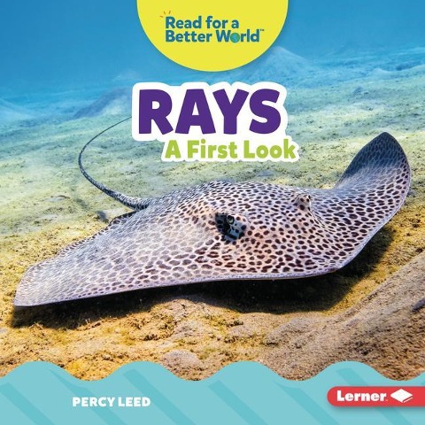 Rays: A First Look