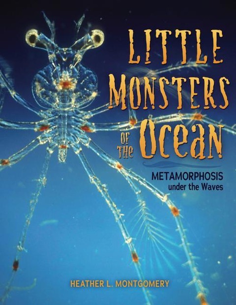 Little Monsters of the Ocean: Metamorphosis Under the Waves