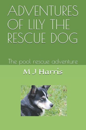 Adventures of Lily the Rescue Dog The Pool Rescue Adventure