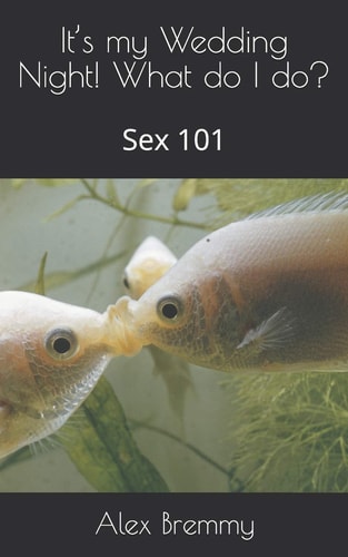 It's My Wedding Night! What Do I Do? Sex 101