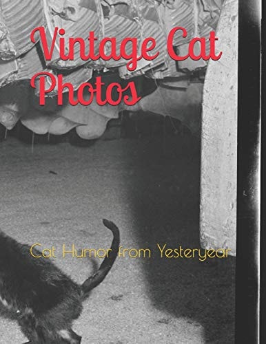 Vintage Cat Photos Cat Humor from Yesteryear