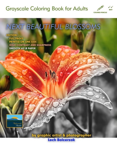 Next Beautiful Blossoms - Grayscale Coloring Book for Adults Edition: Full Pages with a Smooth Paper