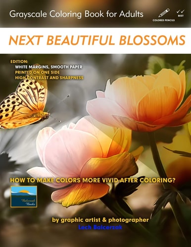 Next Beautiful Blossoms - Grayscale Coloring Book for Adults Edition: White Margins with a Smooth Paper