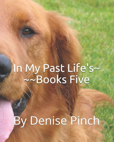In My Past Life's Books Five