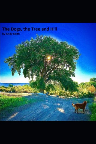 The Dogs, the Hill and the Tree Finding Our Place in This World