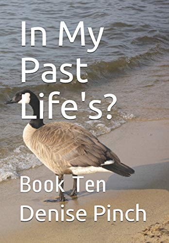In My Past Life's? Book Ten