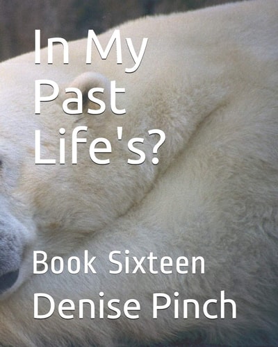 In My Past Life's? Book Sixteen