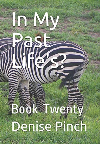 In My Past Life's? Book Twenty