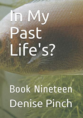 In My Past Life's? Book Nineteen